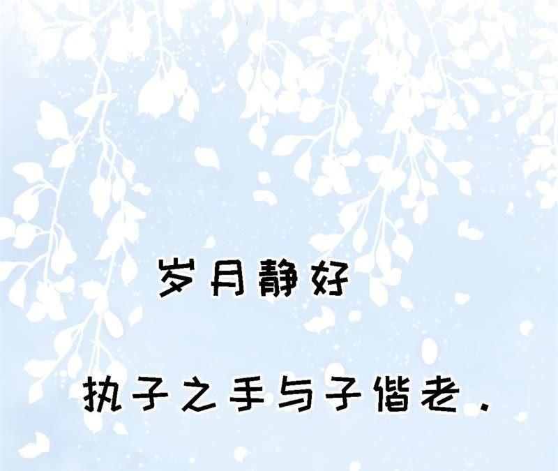 岁月静好51