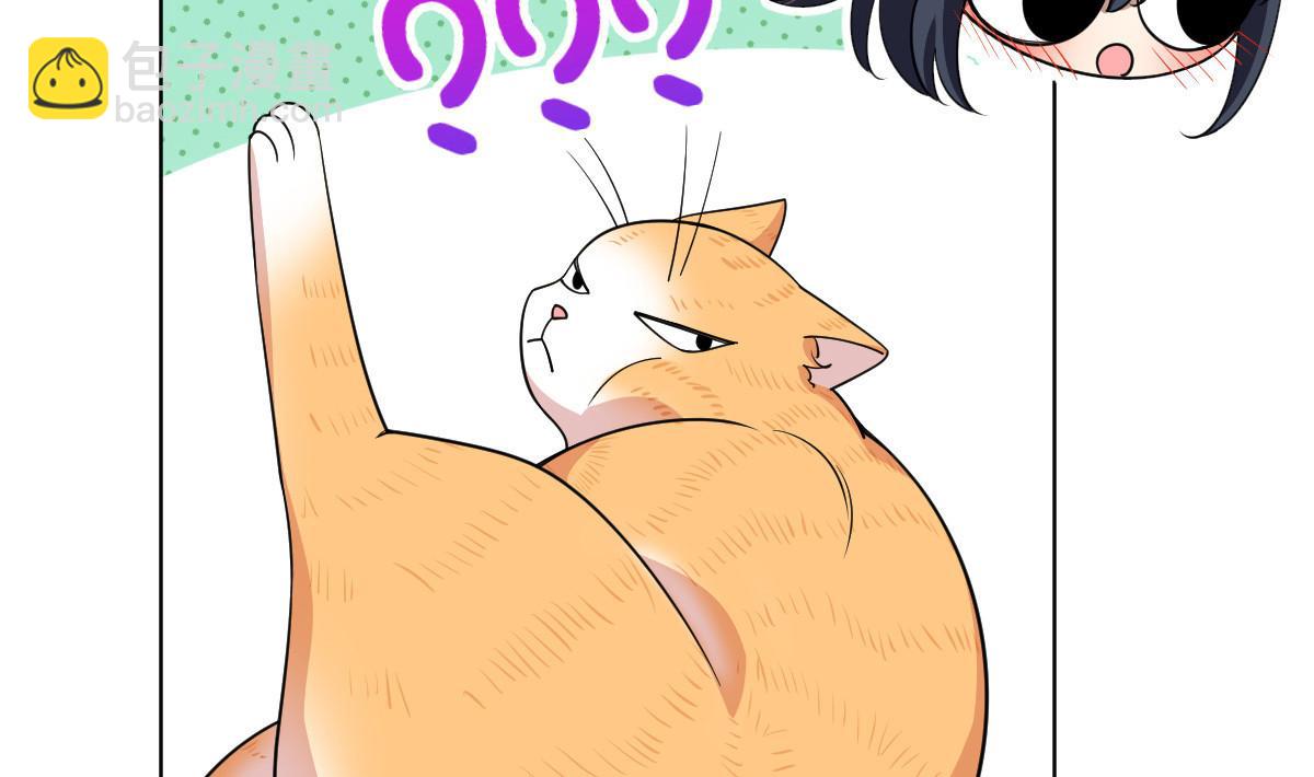 12243