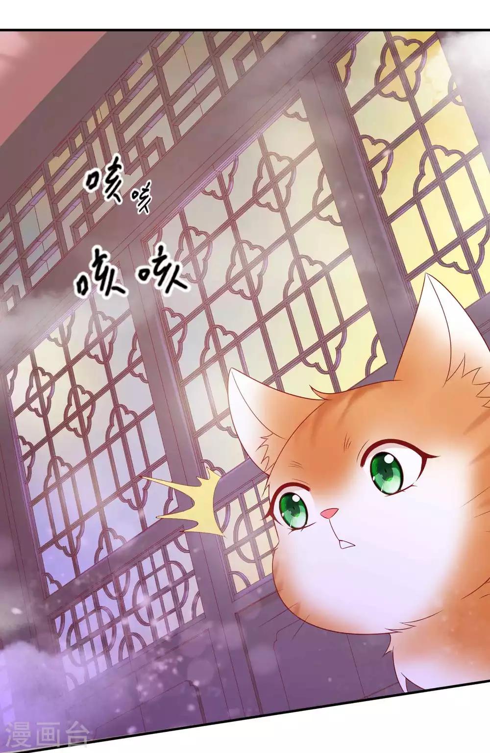 第120话 北洱喵喵有危险13