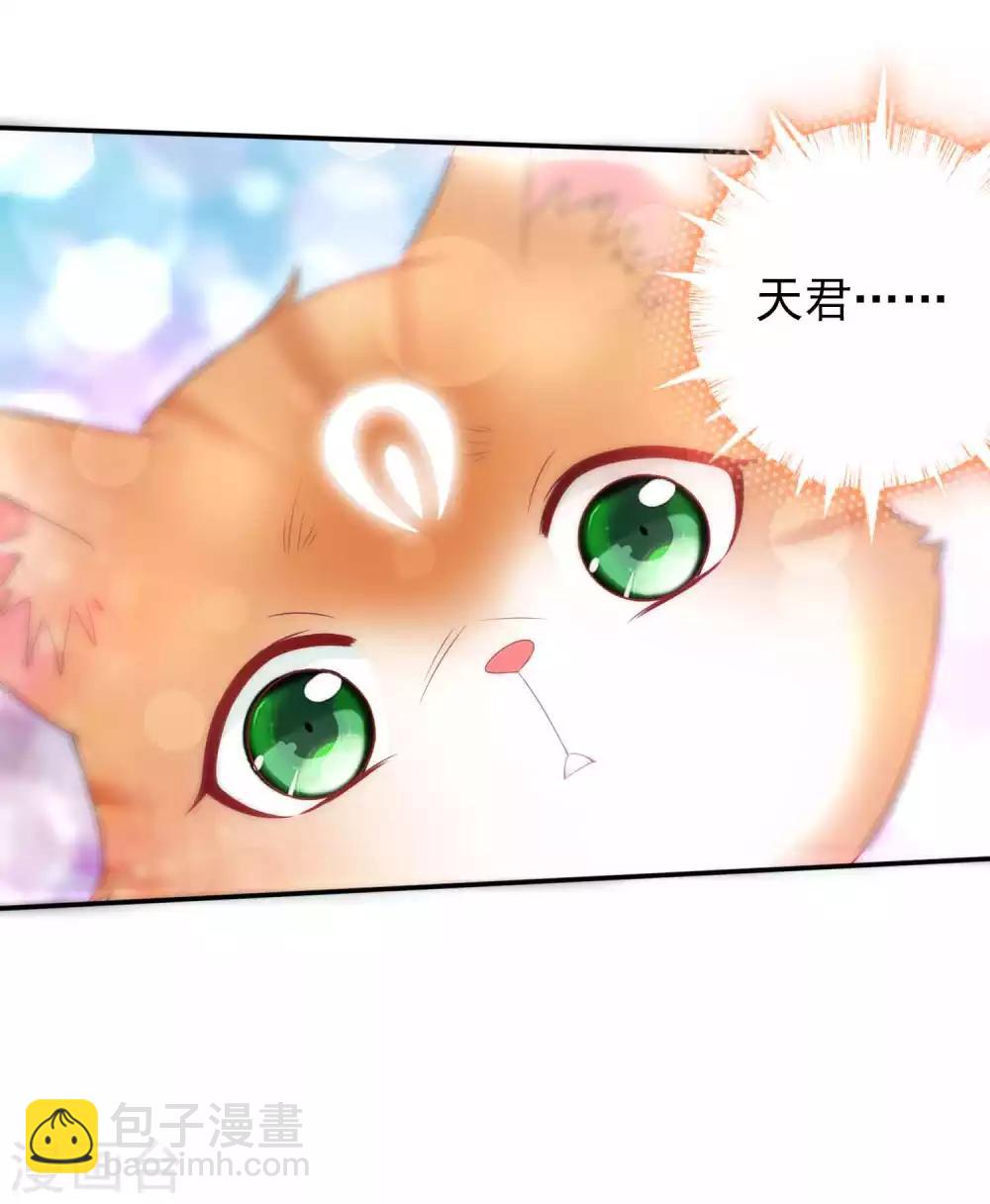 第120话 北洱喵喵有危险8