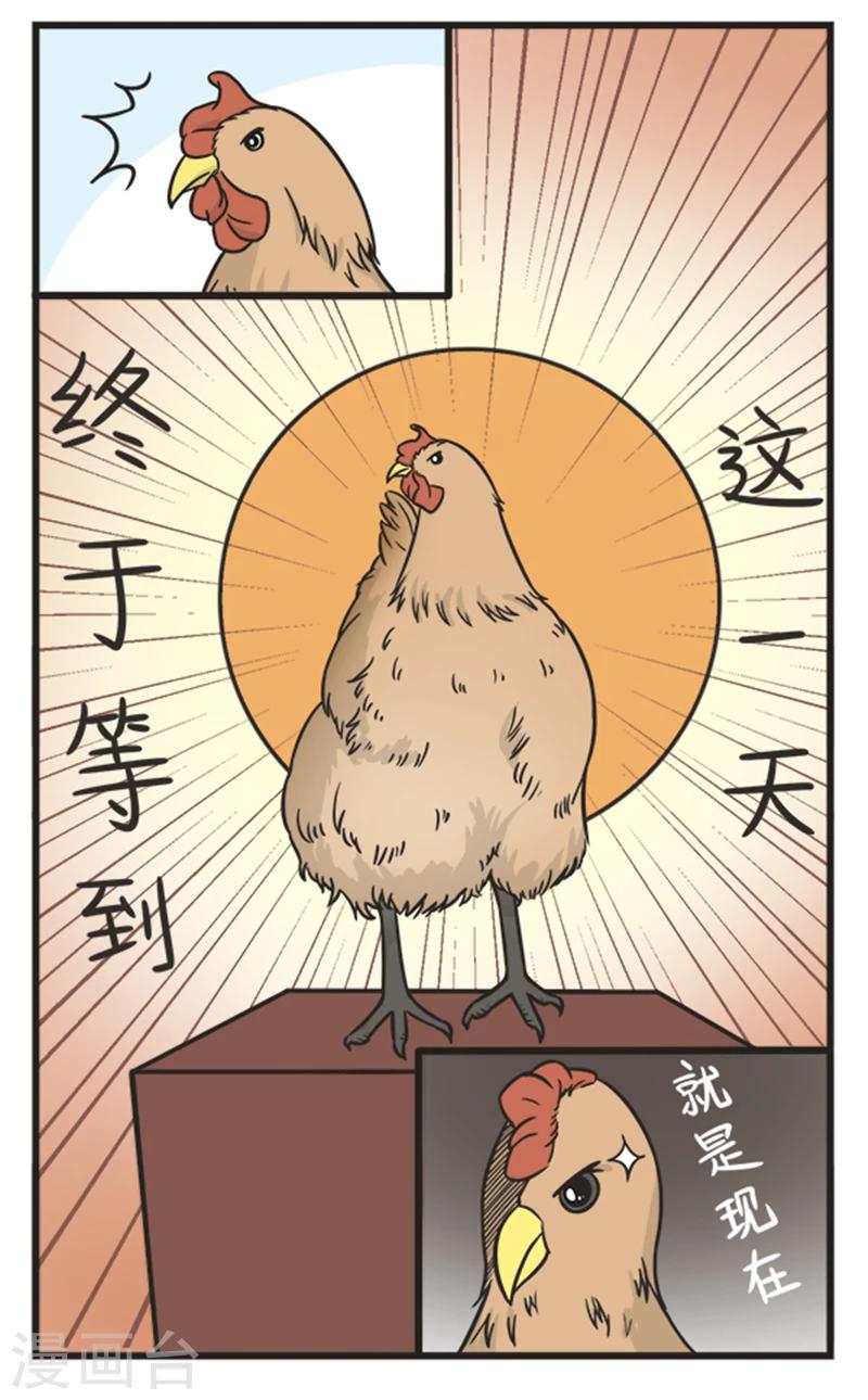 第210话 买鸡1