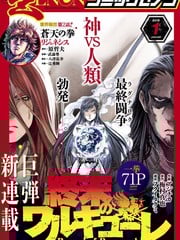 终末的女武神第一季完全版