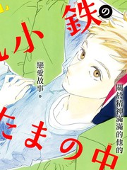 昼行闪耀的流星大结局_banner