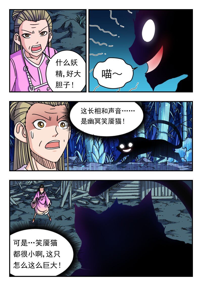 247 二四七6