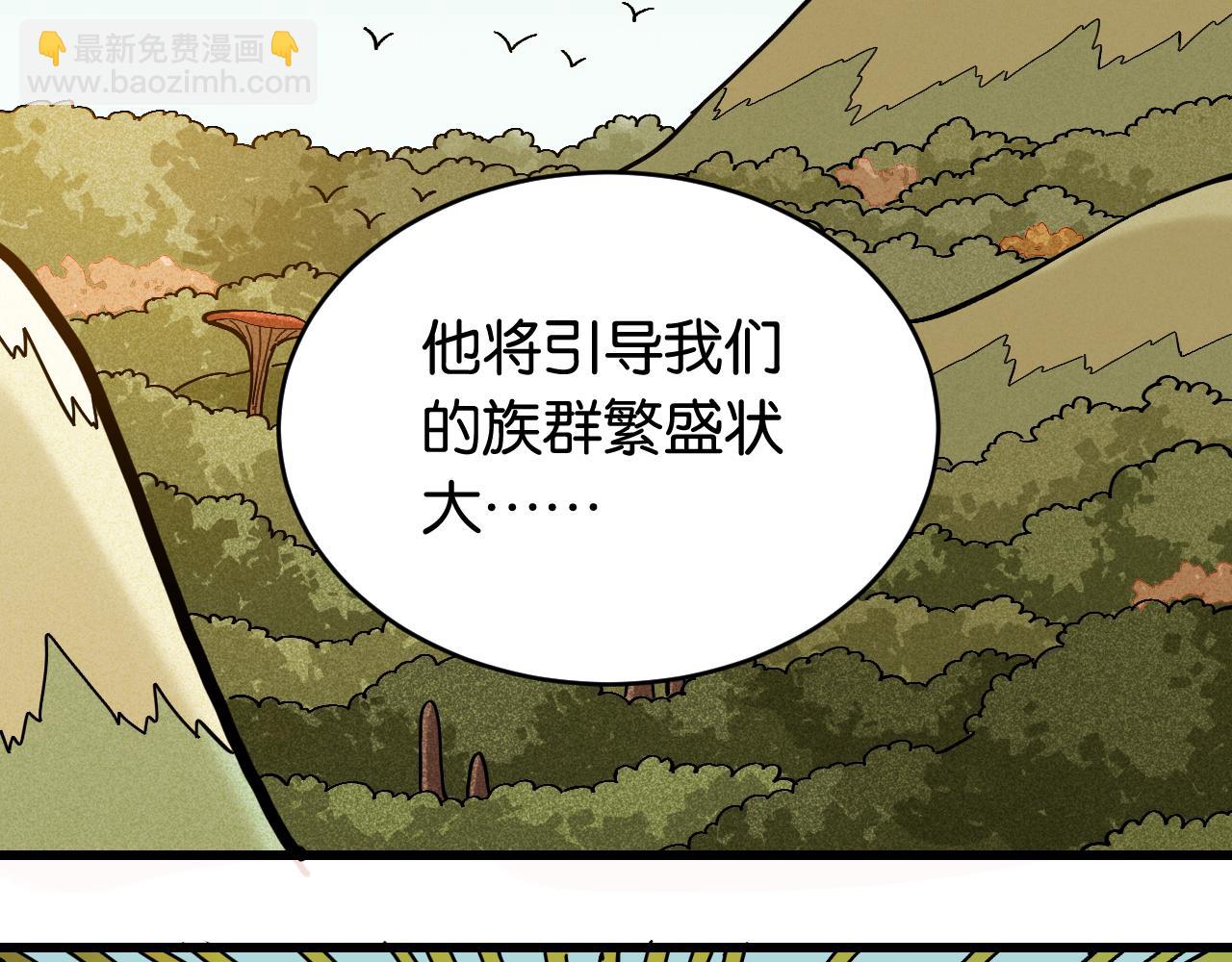 第167话 菌灵族67