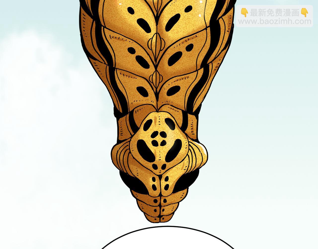 第167话 菌灵族69