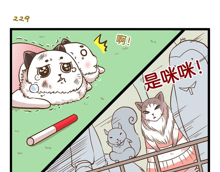 第33话 阴差阳错！？18
