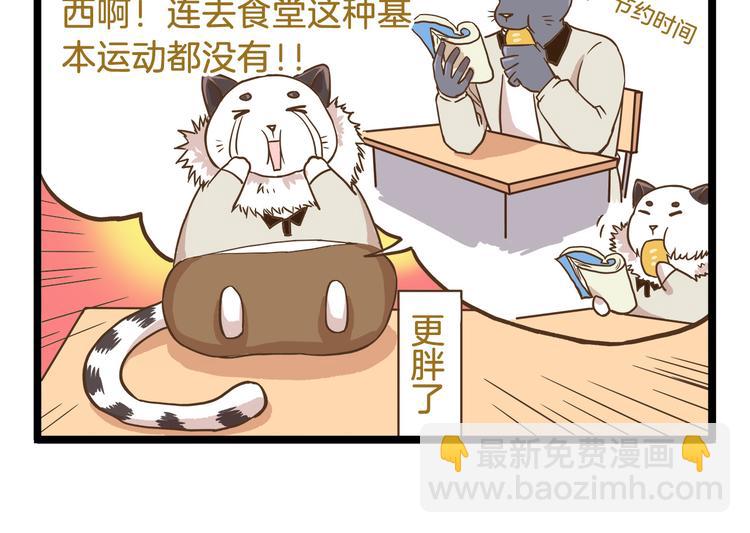 第52话 减肥！13