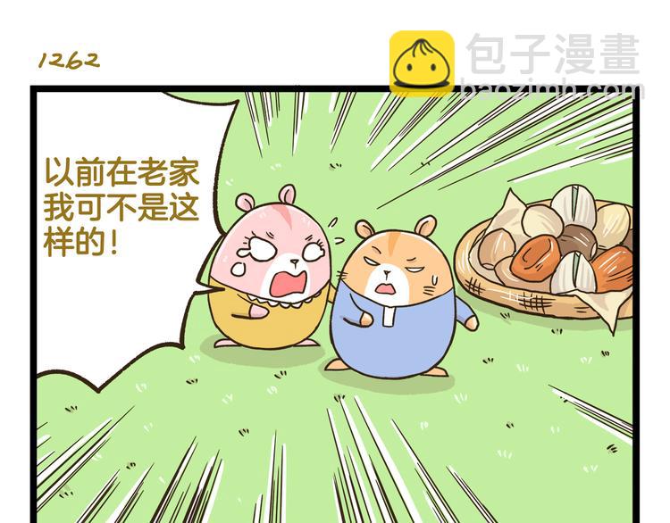 第181话 会唱歌的小仓鼠14