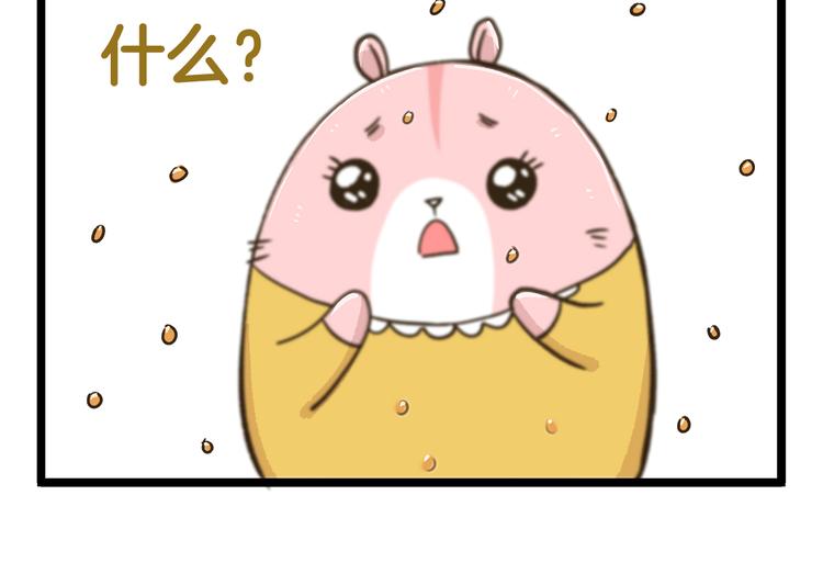 第181话 会唱歌的小仓鼠21