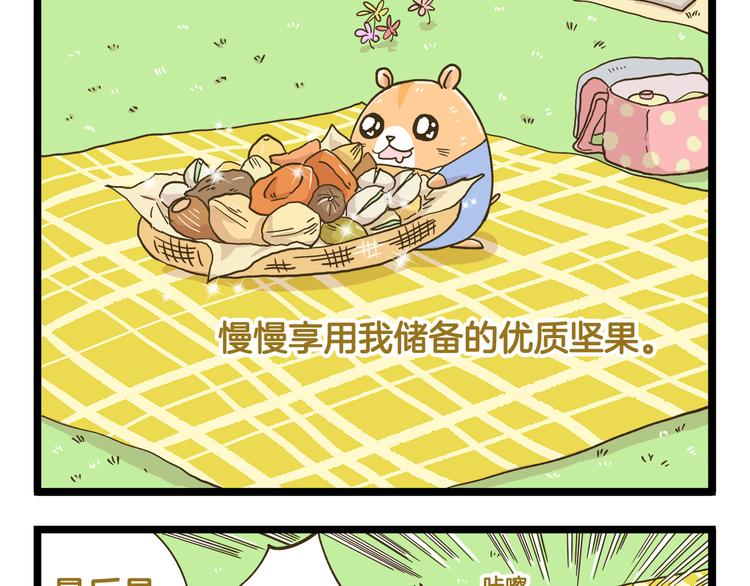 第181话 会唱歌的小仓鼠4