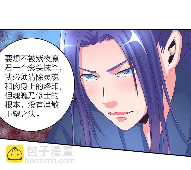 第111话 褚烬离的真实计划10