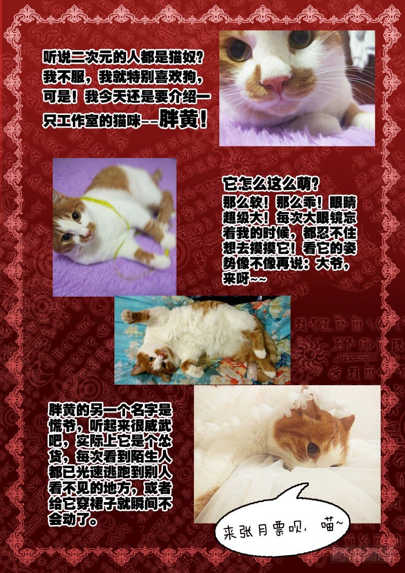 82.循环梦9