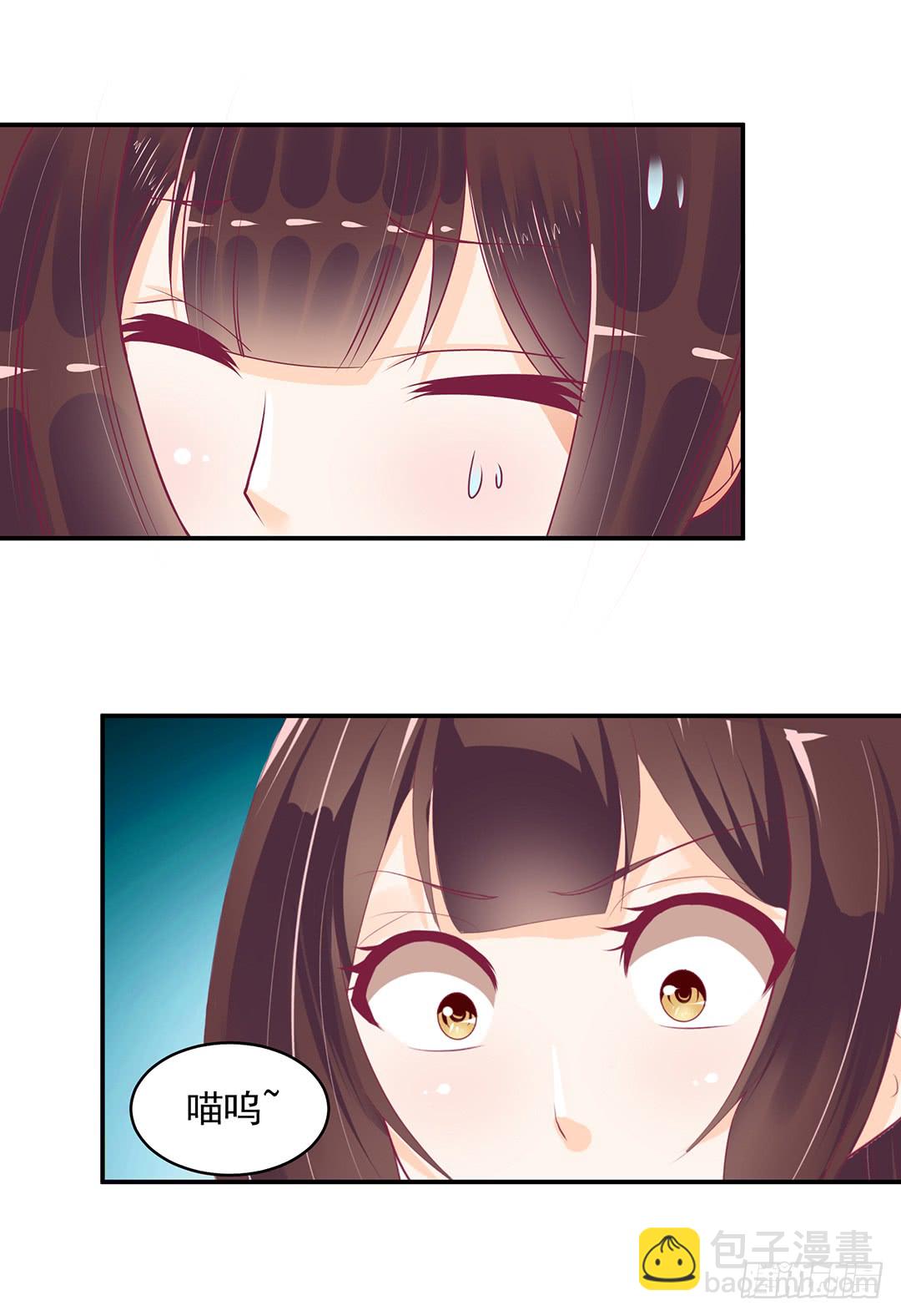 神秘的黑影……12