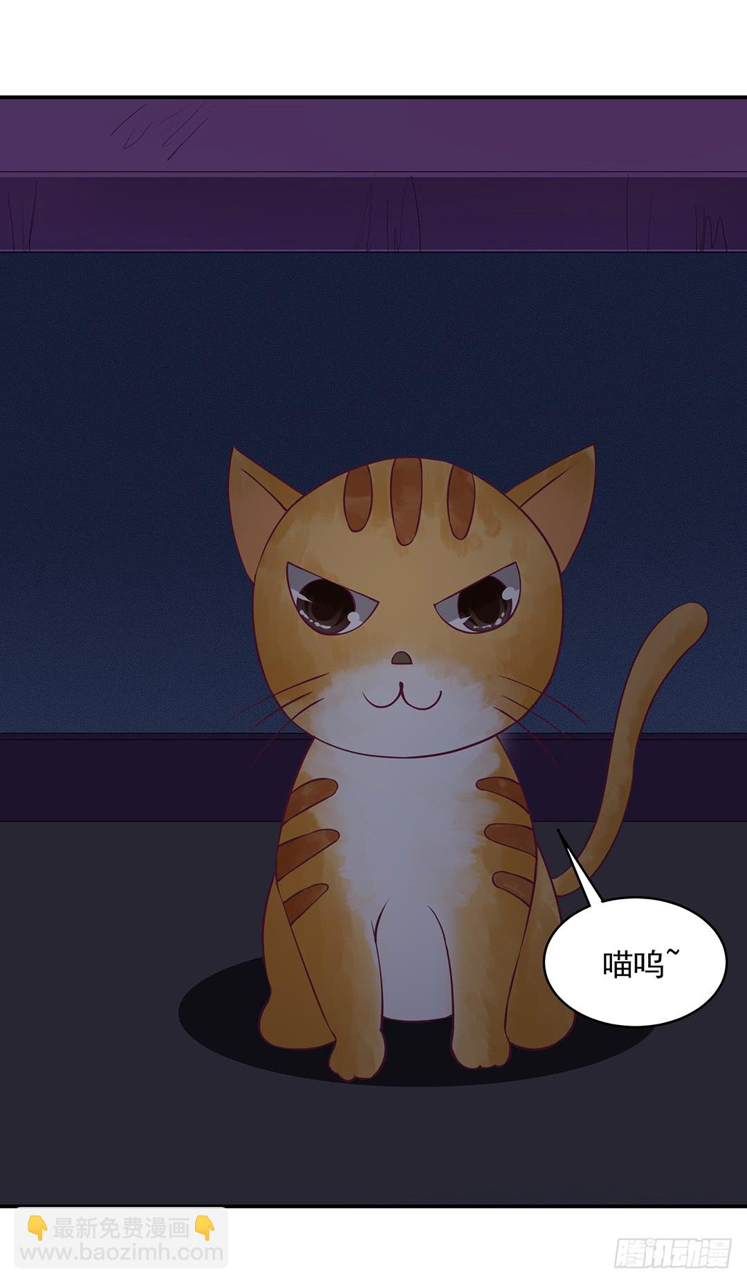 神秘的黑影……13