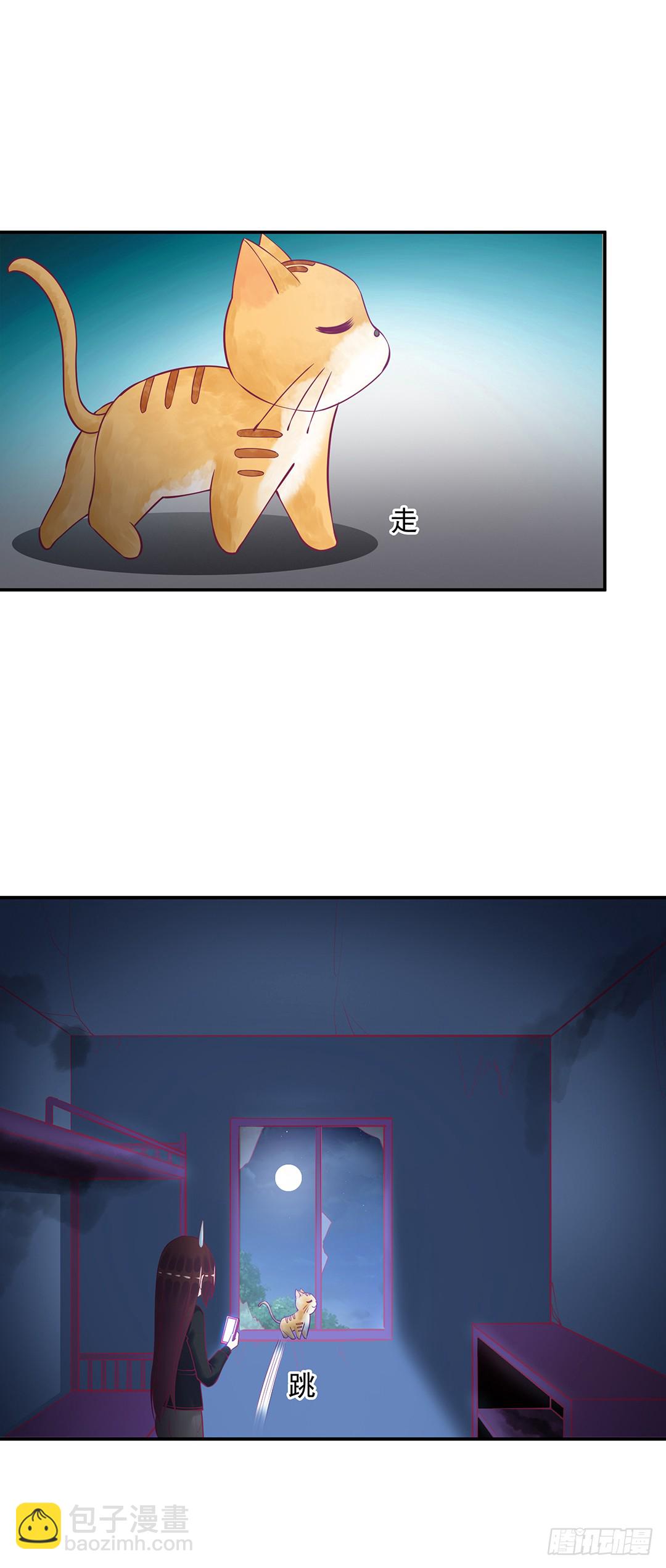 神秘的黑影……14