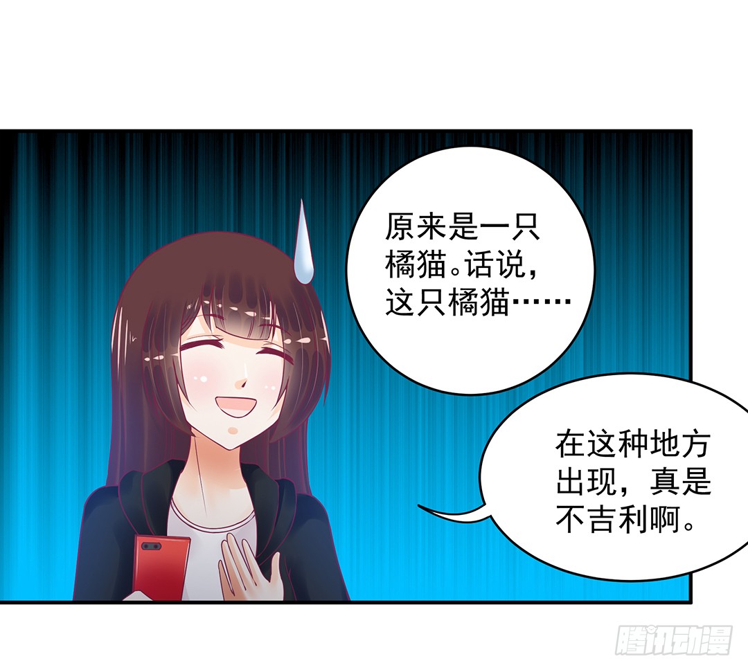 神秘的黑影……16