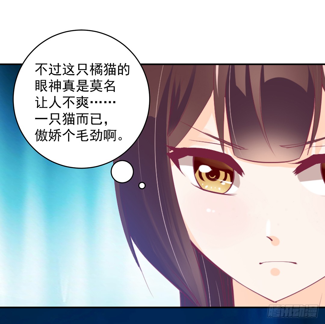 神秘的黑影……19