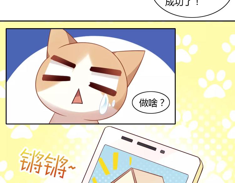 第13话  纸箱竟然是！54