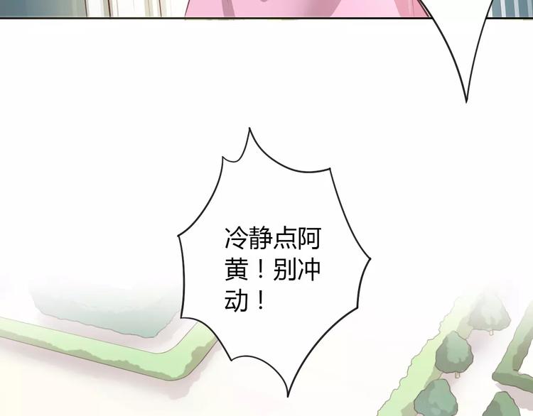 第39话 鸟妈妈的苦心0