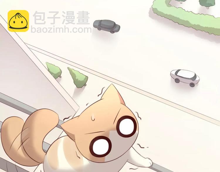第39话 鸟妈妈的苦心1