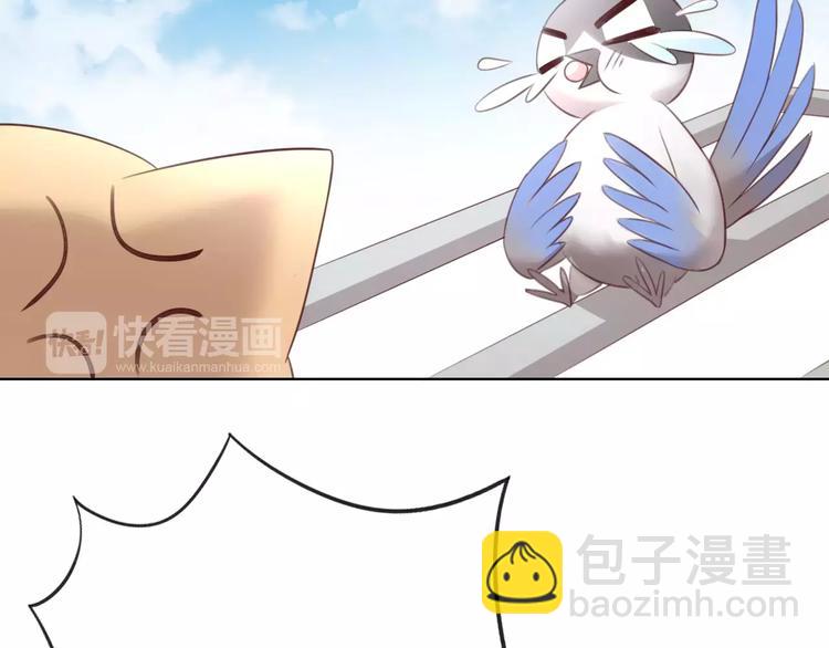第39话 鸟妈妈的苦心3