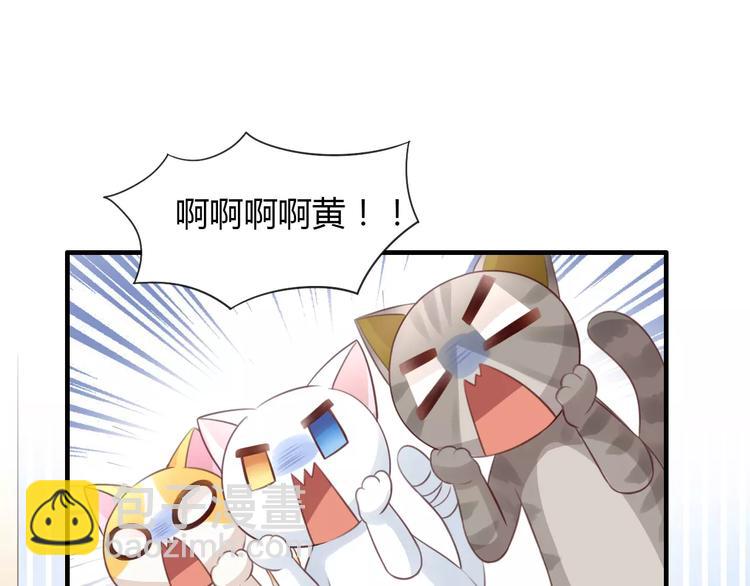 第39话 鸟妈妈的苦心6