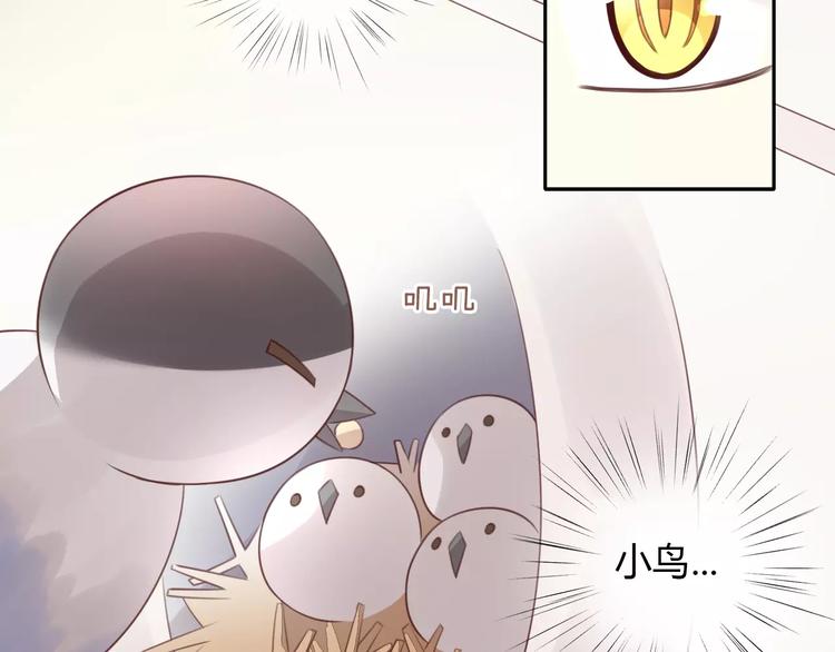 第39话 鸟妈妈的苦心14