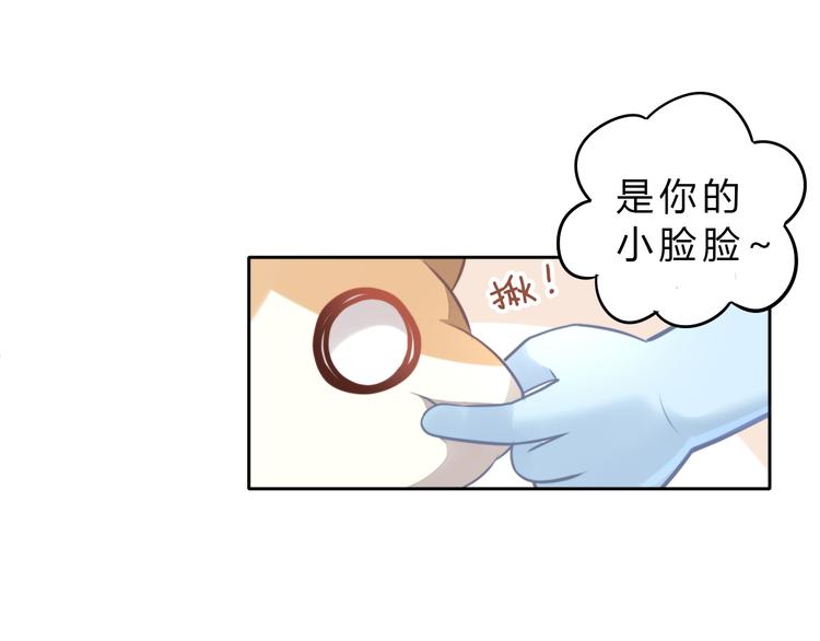 第69话 决定28