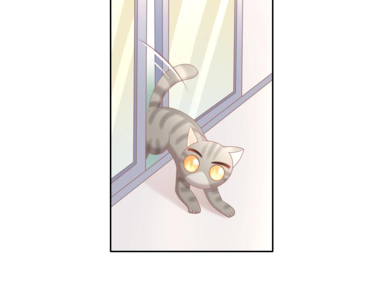 第126话 猫舍C位（二）18