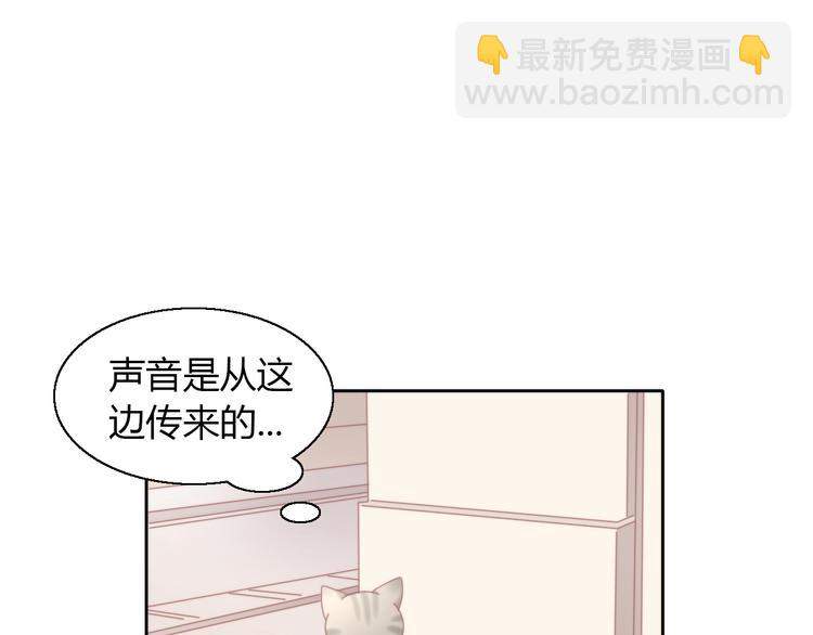 第126话 猫舍C位（二）19