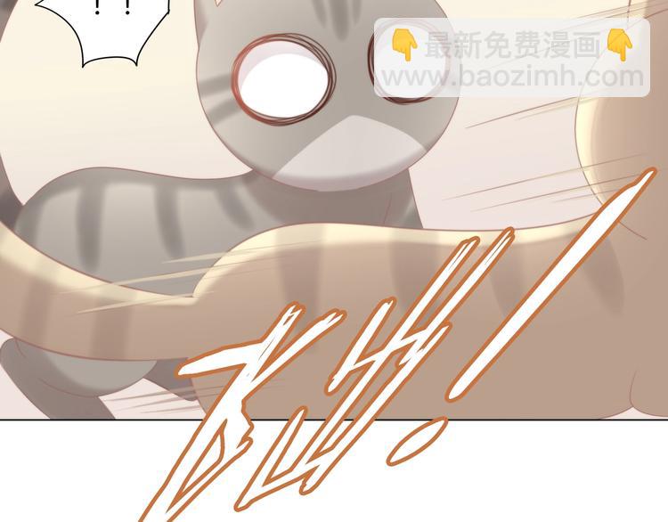 第126话 猫舍C位（二）21