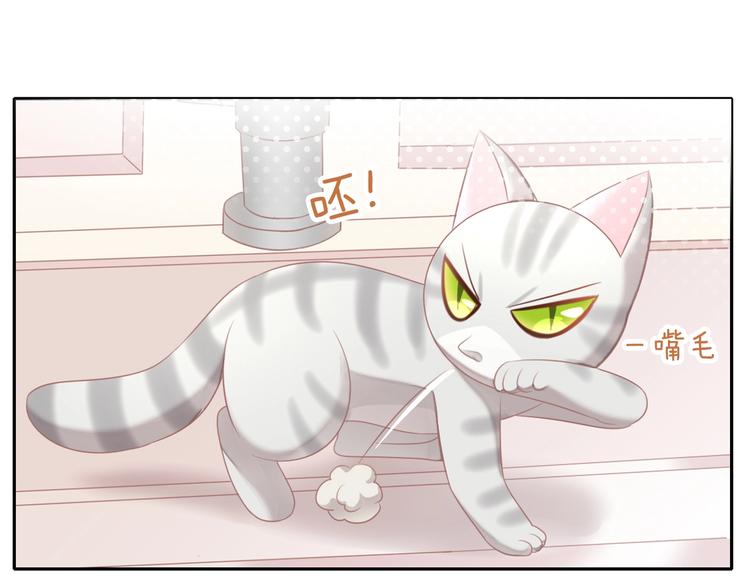 第126话 猫舍C位（二）30