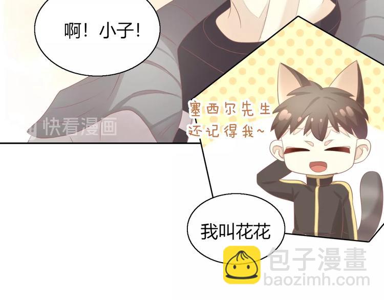 第126话 猫舍C位（二）33