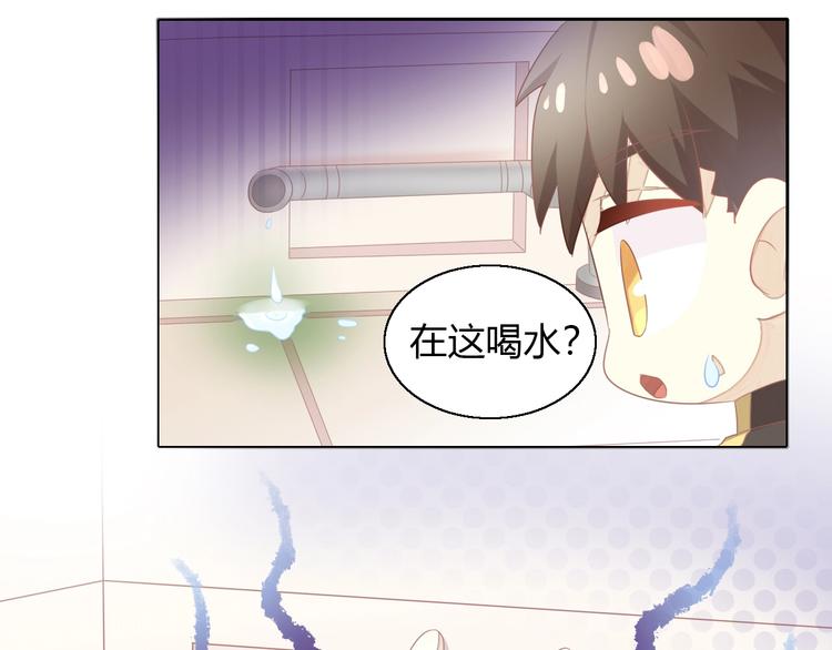 第126话 猫舍C位（二）36