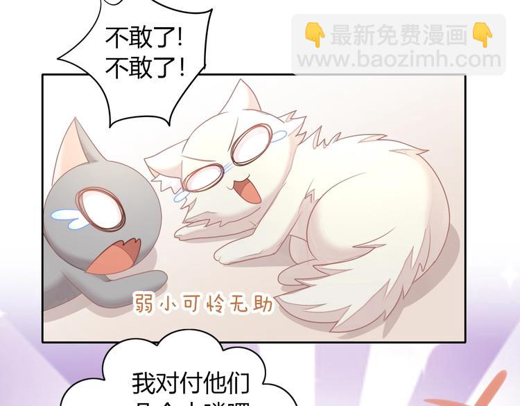 第126话 猫舍C位（二）40