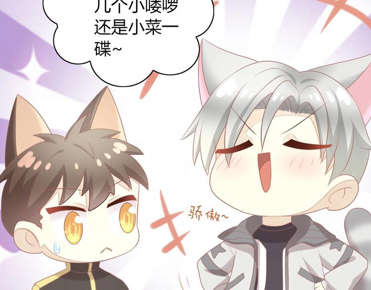第126话 猫舍C位（二）41