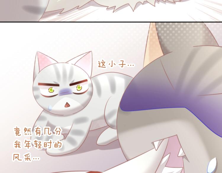 第126话 猫舍C位（二）49
