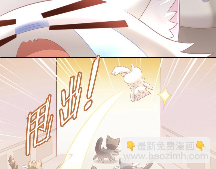 第126话 猫舍C位（二）54