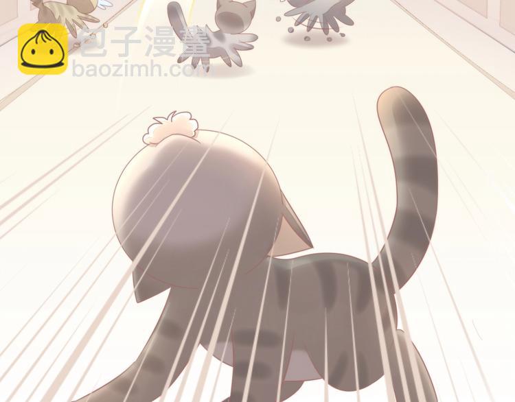 第126话 猫舍C位（二）55