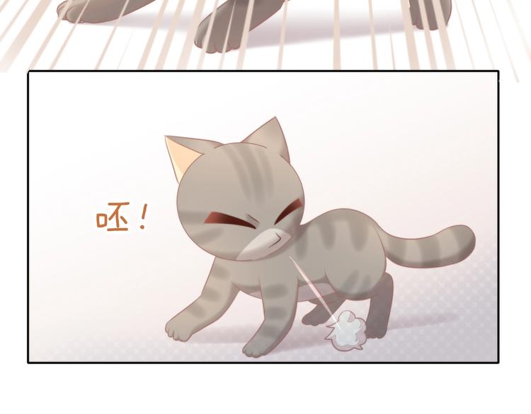 第126话 猫舍C位（二）56