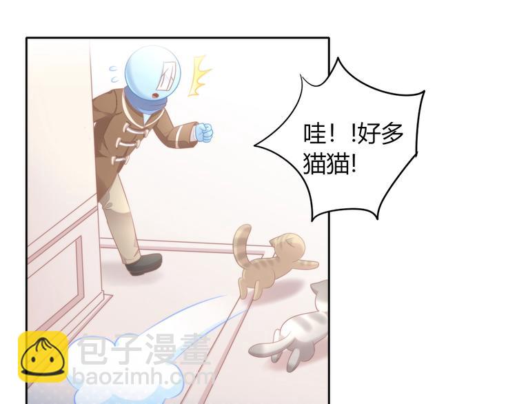 第126话 猫舍C位（二）57