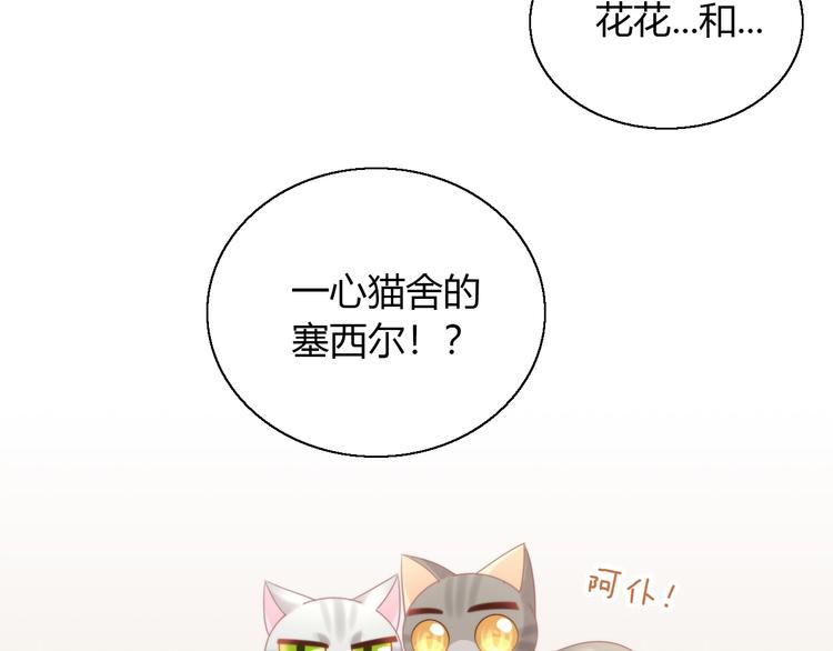 第126话 猫舍C位（二）59