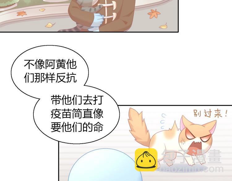 第126话 猫舍C位（二）6