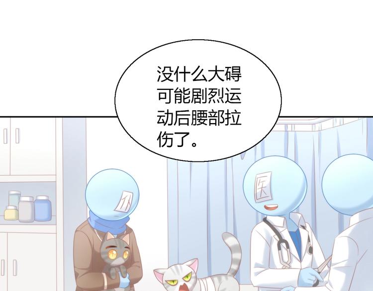 第126话 猫舍C位（二）70