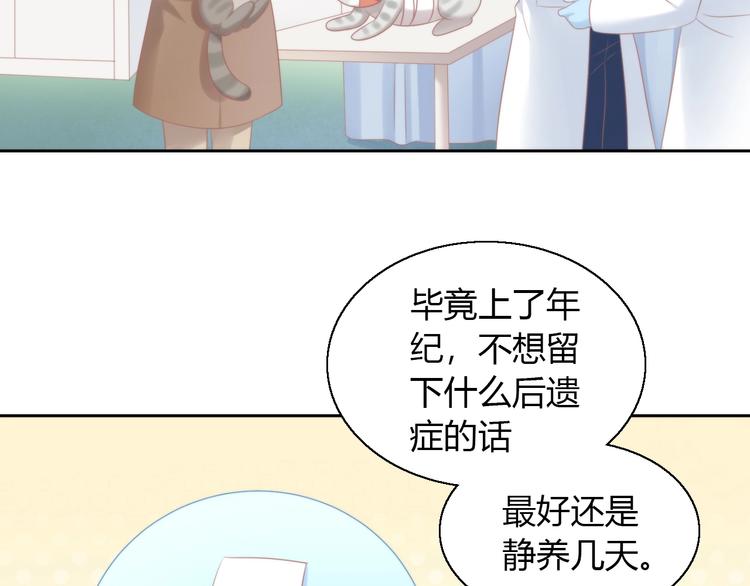 第126话 猫舍C位（二）71