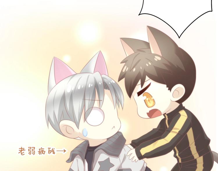 第126话 猫舍C位（二）76