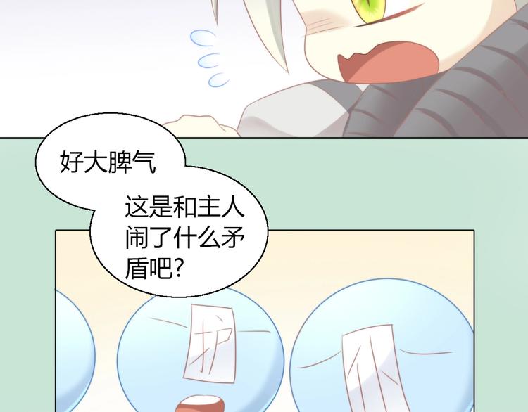 第126话 猫舍C位（二）78
