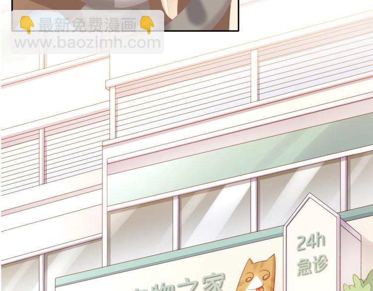 第126话 猫舍C位（二）8