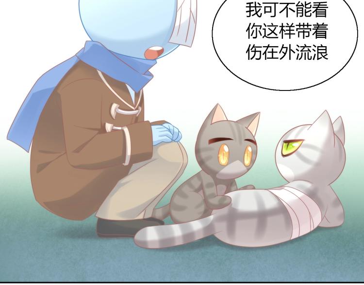第126话 猫舍C位（二）80